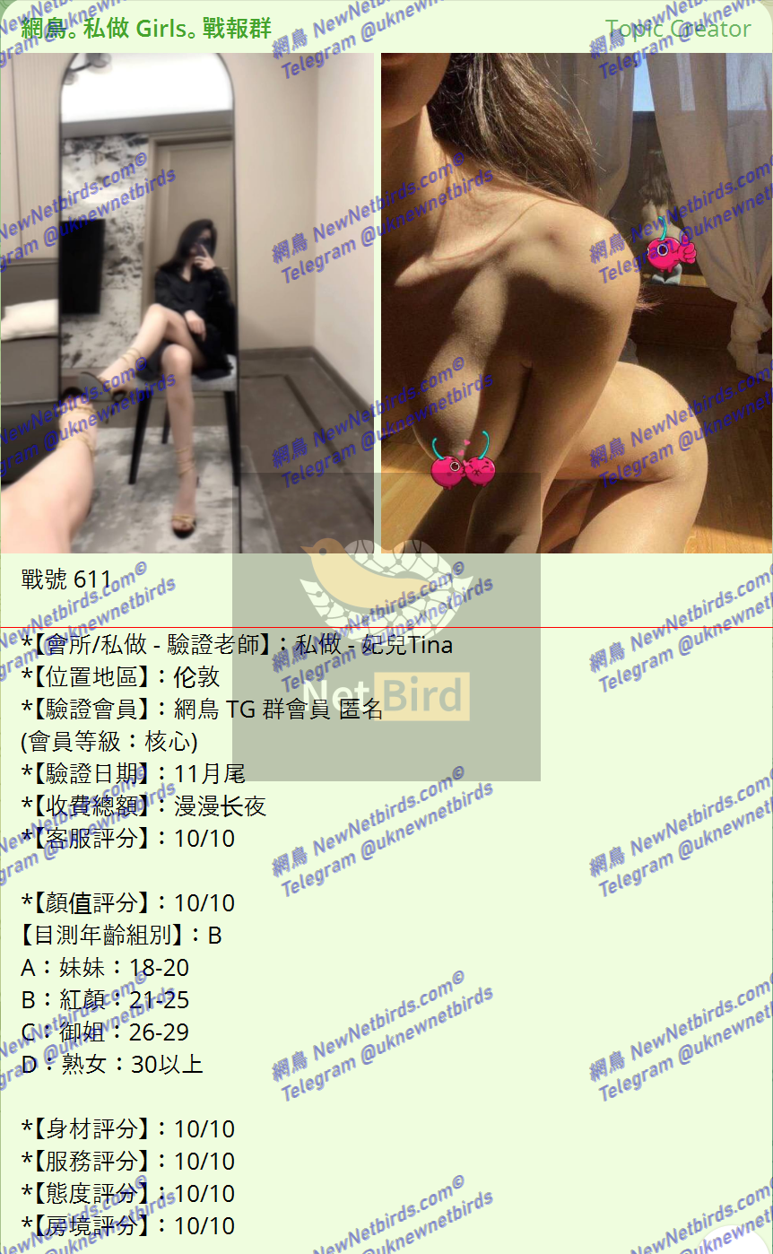 戰號 611 1.png